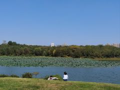 -盘龙城国家考古遗址公园