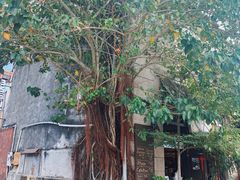 -槟城街头艺术街区