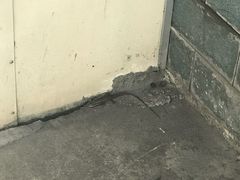 -喜憨儿洗车中心(梅林店)