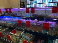 水产区-金海湾海鲜排档(朱家尖店)