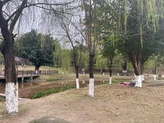 -沐仙湖湿地公园
