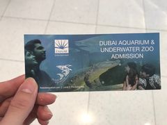 -迪拜水族馆及水下动物园
