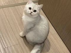 -仁华宠物医院(青羊店)