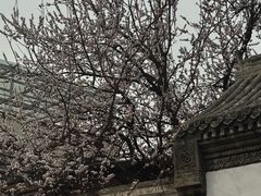-辛庄国际文化艺术区