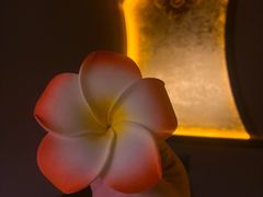 -菩泰·泰式草本按摩SPA(武汉新天地南馆店)