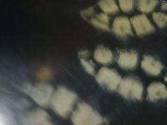 -香满楼(临安路店)