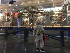 -国家自然博物馆