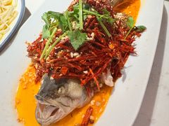 -杨氏青龙虾·羊蝎子(珠江路店)