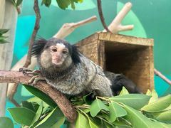 -广州长隆野生动物世界