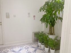 -美丽田园