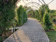 -石家庄市植物园