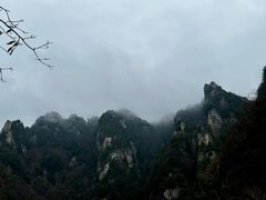 -王顺山国家森林公园