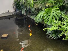 -漫笙舍Manse·咖啡·民宿