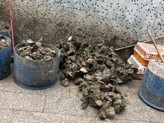 生蚝-濠轩阁特色生蚝火锅(水湾路店)