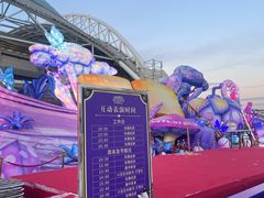 -沈阳奥体冰雪嘉年华