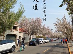 -天津五大道文化旅游区