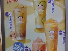-一只酸奶牛(八一路店)
