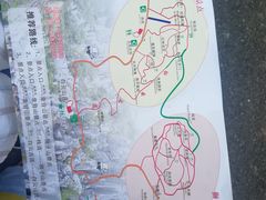 -千岛湖石林