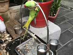 -丽江庭院之丽江往事(安定门店)