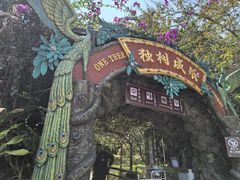 -独树成林