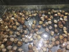 -福成自助烤肉(长阳店)