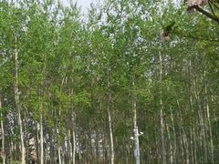 -仁和公园(顺义区)