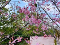 -福建鲤鱼洲酒店