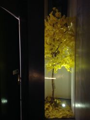 -美壹生诊所皮肤管理中心·海菲秀&Legacy美白舱