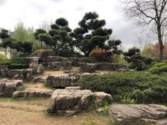 -渡海小渔村.老辈日照菜