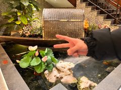 -东海怡品海鲜豆捞(星街坊店)
