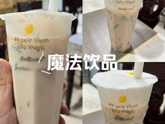 -猫的魔法密林(衣裳街店)