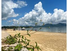 -汕尾风车岛
