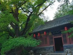 -晋祠公园