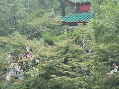 -岳麓山风景名胜区