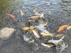 -北京中信金陵酒店