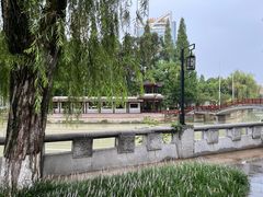 -温江公园