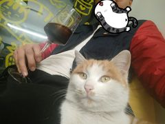-五进制 Coffee Shop