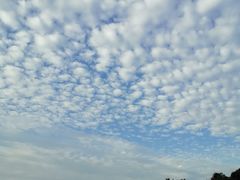 -大姆山草场