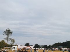-长洲岛都市农业公园