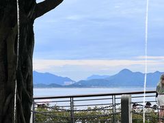 -深圳湾公园(南山区)