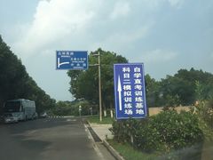 -狮麟驾校