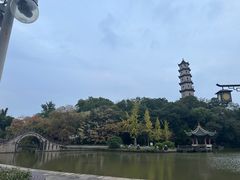 -江心屿景区