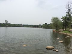 -杏花村文化旅游区
