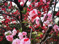 -玲珑塔公园