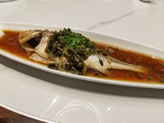 -老绍兴养和饭店(向阳不夜城店)