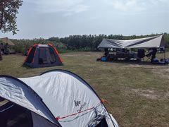 -春花秋色城市公园