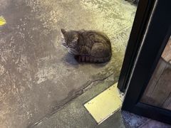-李记潮汕砂锅粥(营福路店)
