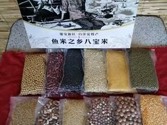 -白洋淀景区