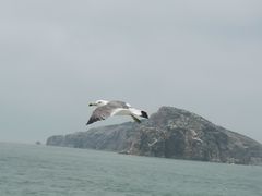 -海驴岛(荣成市)