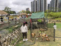 -光明小镇欢乐田园
